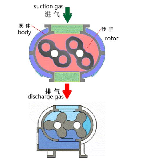 羅茨風(fēng)機結(jié)構(gòu)圖